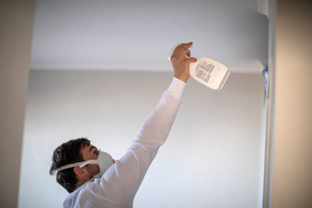 Best Mold Testing and Removal  in Albion, IN