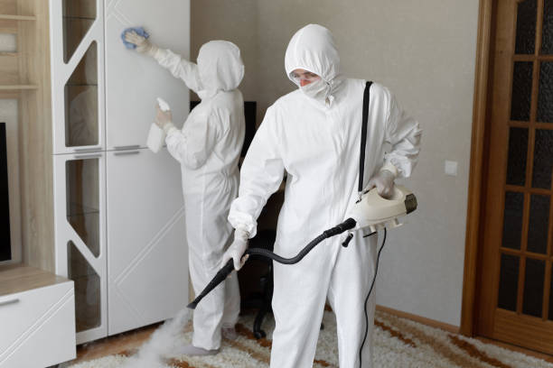 Mold Removal Process in Albion, IN