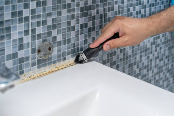 Best Black Mold Removal  in Albion, IN