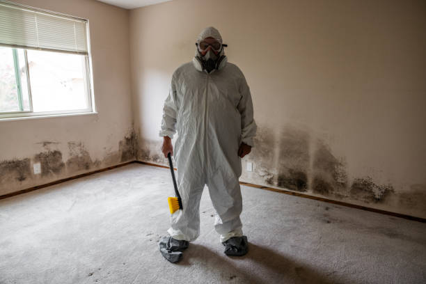 Best Residential Mold Removal  in Albion, IN